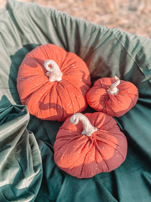 Citrouilles / Pumpkins